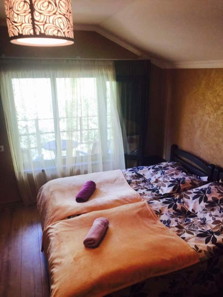 Metitsa Bed & Breakfast Juta Dış mekan fotoğraf